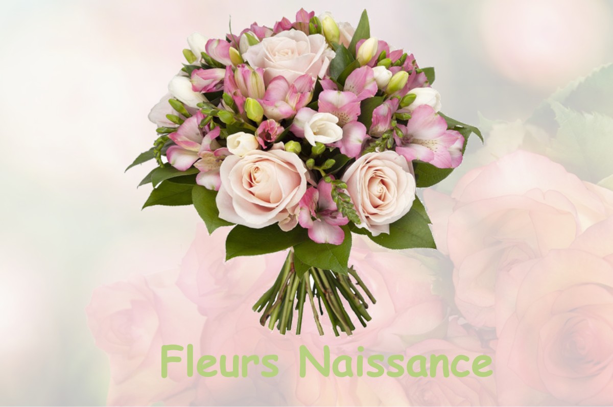 fleurs naissance PARCEY