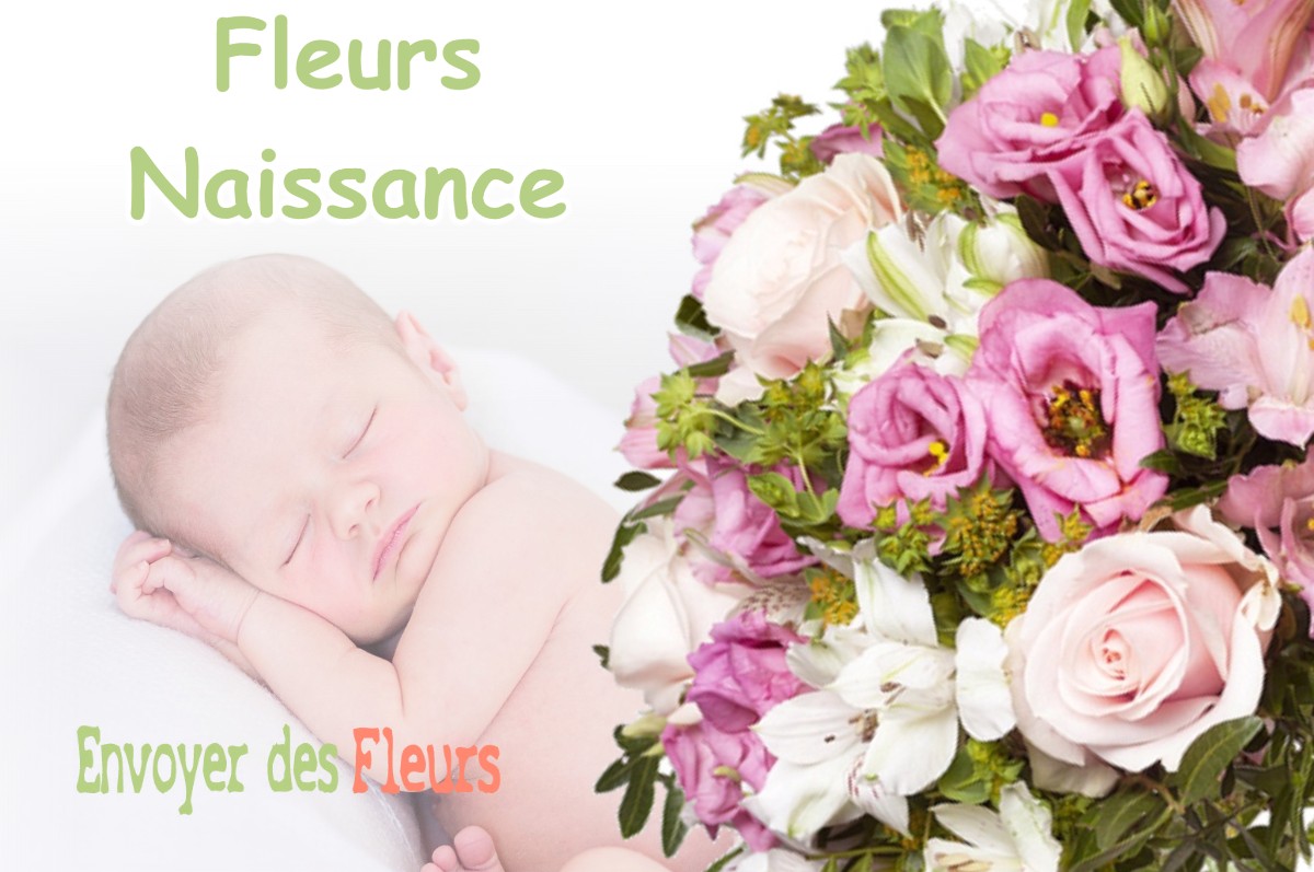 lIVRAISON FLEURS NAISSANCE à PARCEY